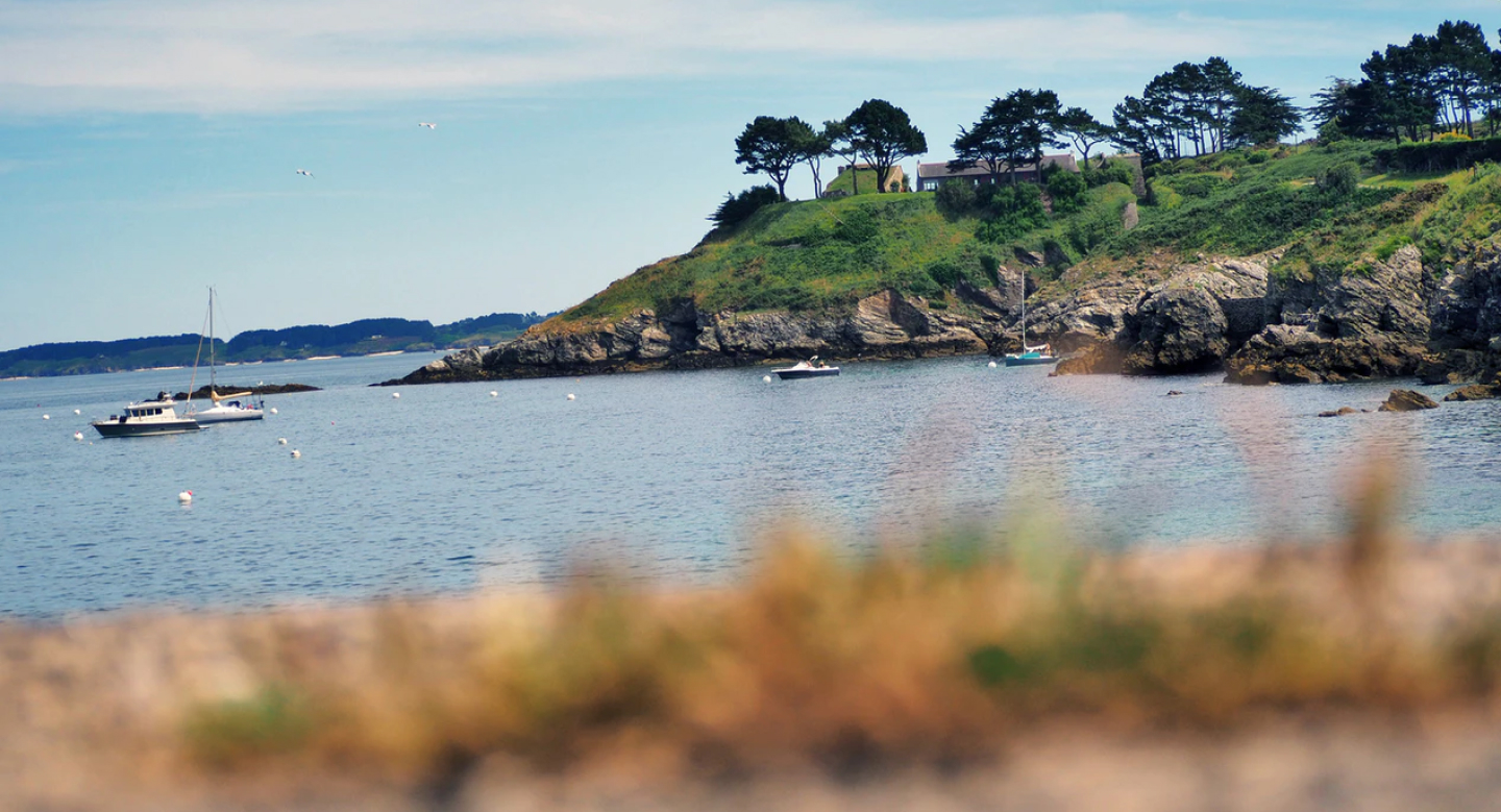 Image non disponible