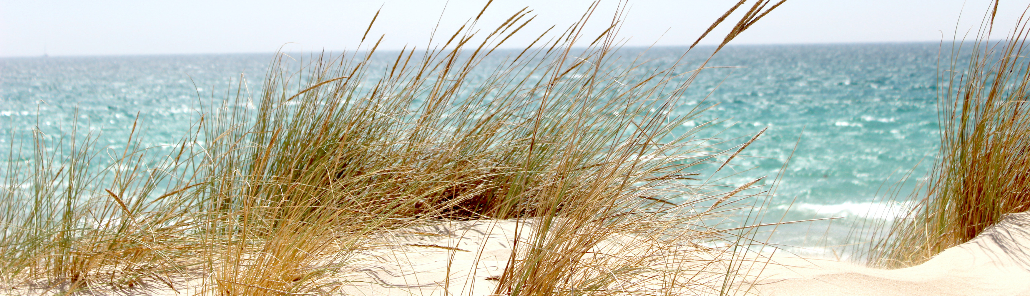 dune de sable face à l’océan soin thalgo
